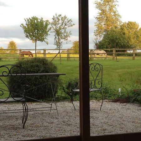Haras Des Leudets Bed & Breakfast Blangy-le-Chateau Exterior photo